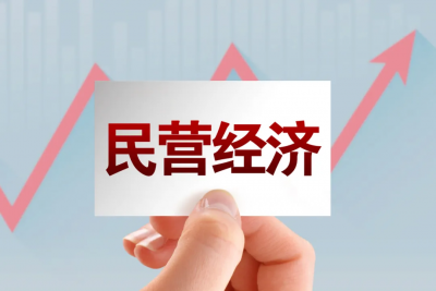 《中共中央、國務院關于促進民營經濟發展壯大的意見》